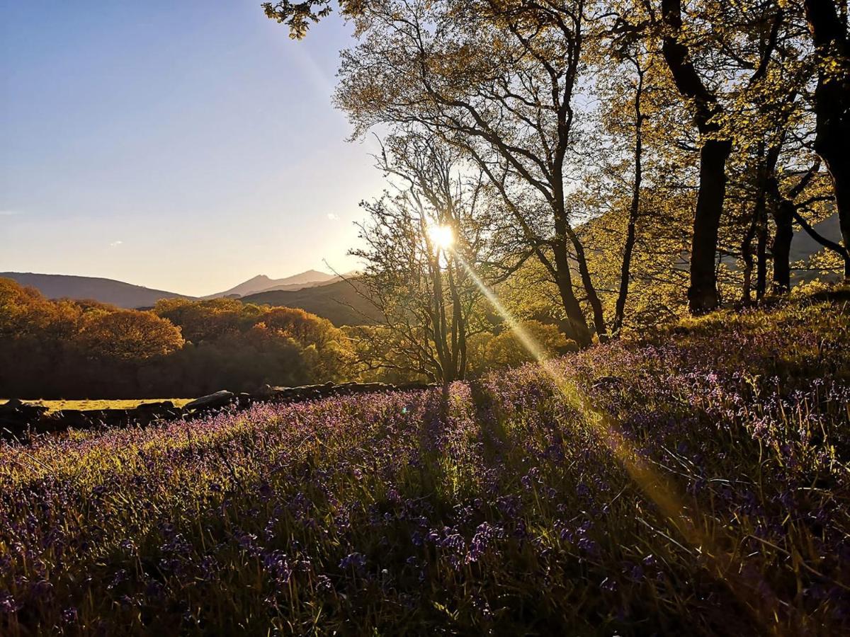 Elen'S Castle Hotel Dolwyddelan Luaran gambar