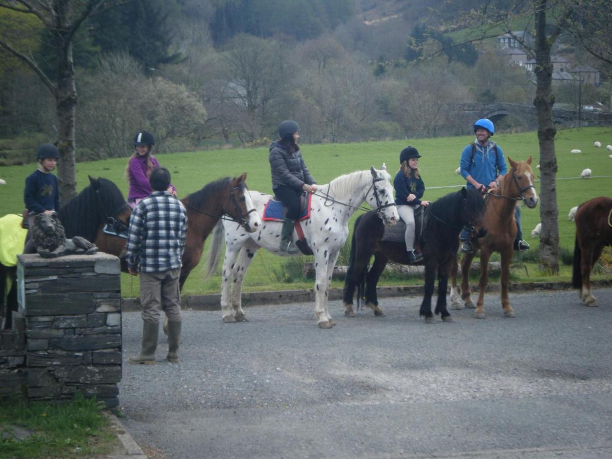 Elen'S Castle Hotel Dolwyddelan Luaran gambar
