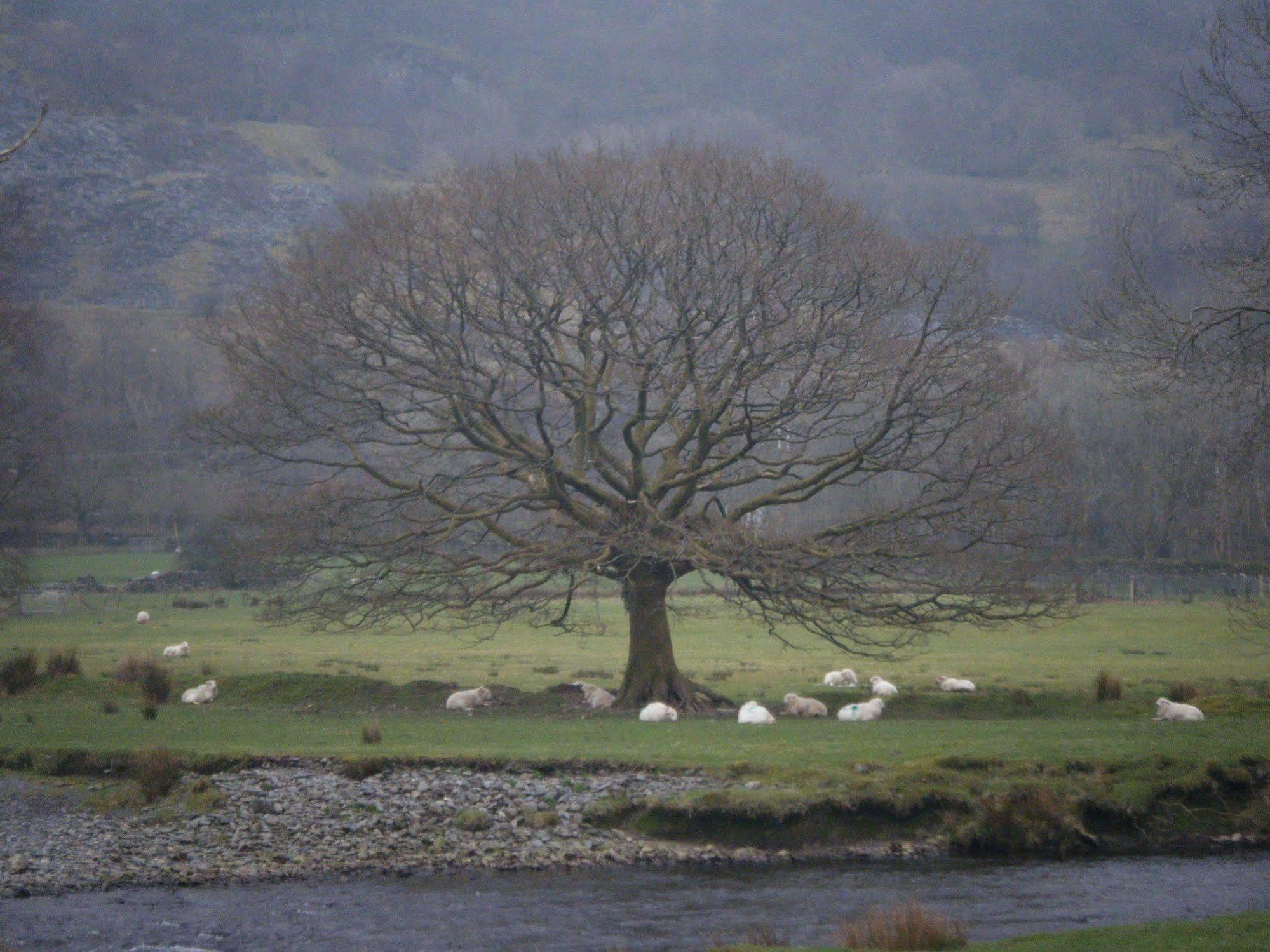 Elen'S Castle Hotel Dolwyddelan Luaran gambar